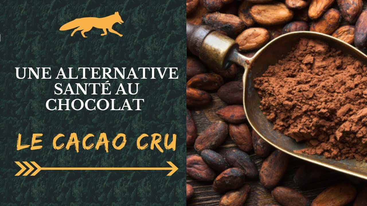 CACAO CRU : Bienfaits et Composition - Comment les consommer ?