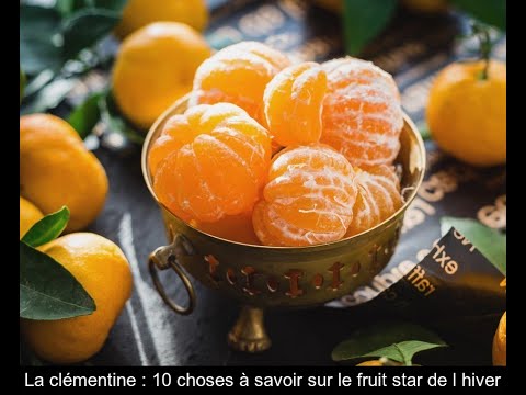 La clémentine : 10 faits essentiels sur le fruit incontournable de l'hiver