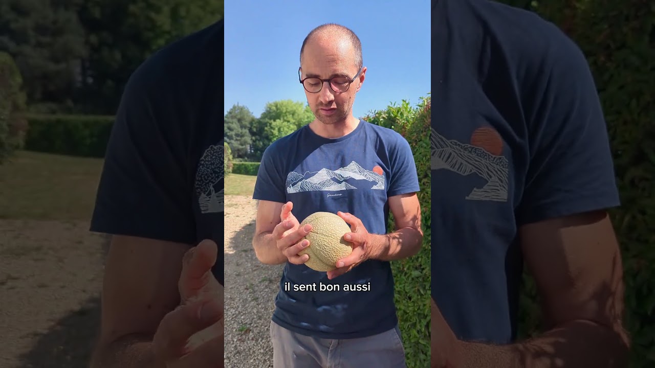 😍 3 ASTUCES POUR BIEN CHOISIR TON MELON 🍈 #astuce #summer #fruit #agriculture #faitsintéressants