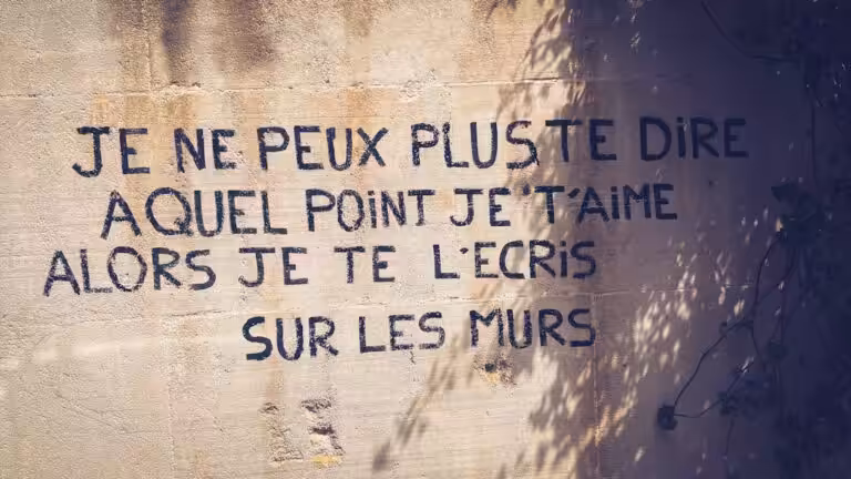 « Je pensais bien faire » : comment lutter contre l’oïdium des courgettes peut parfois nuire au plant